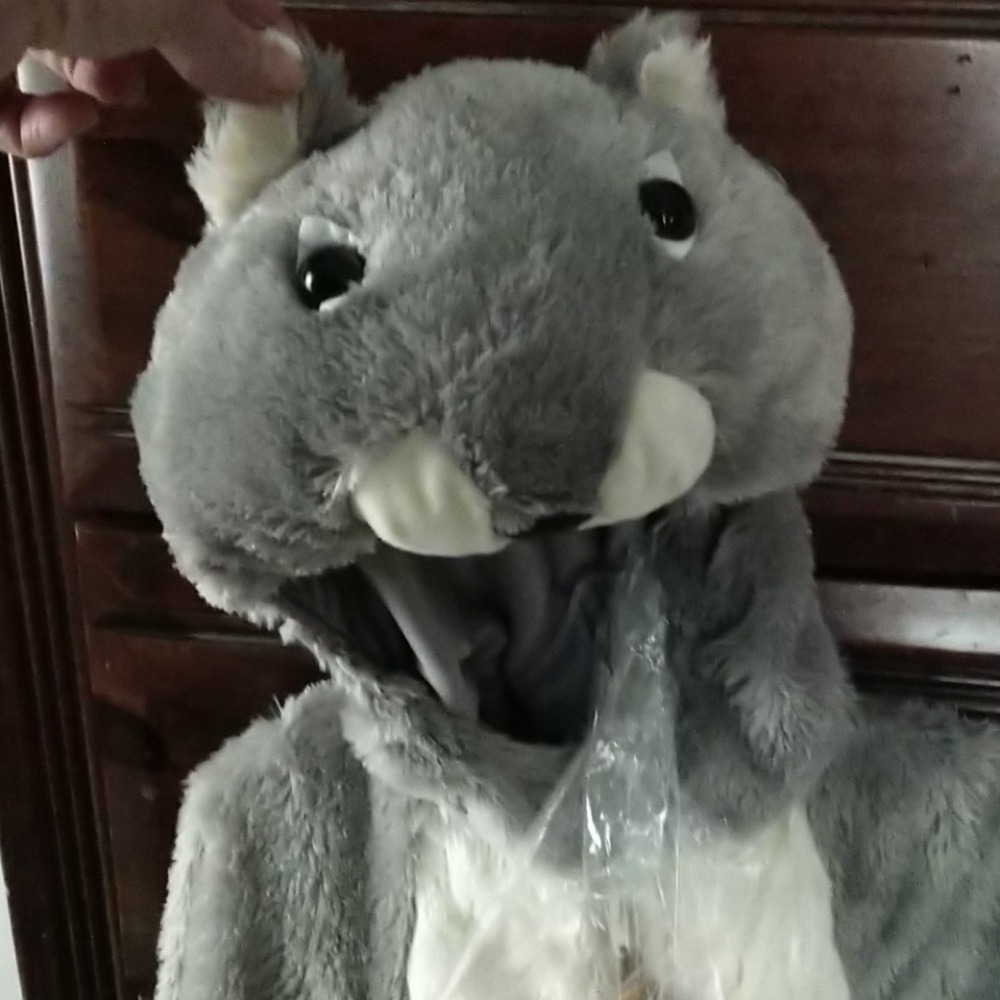 Squirrel costume